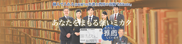 あなたをまもる強いミカタ